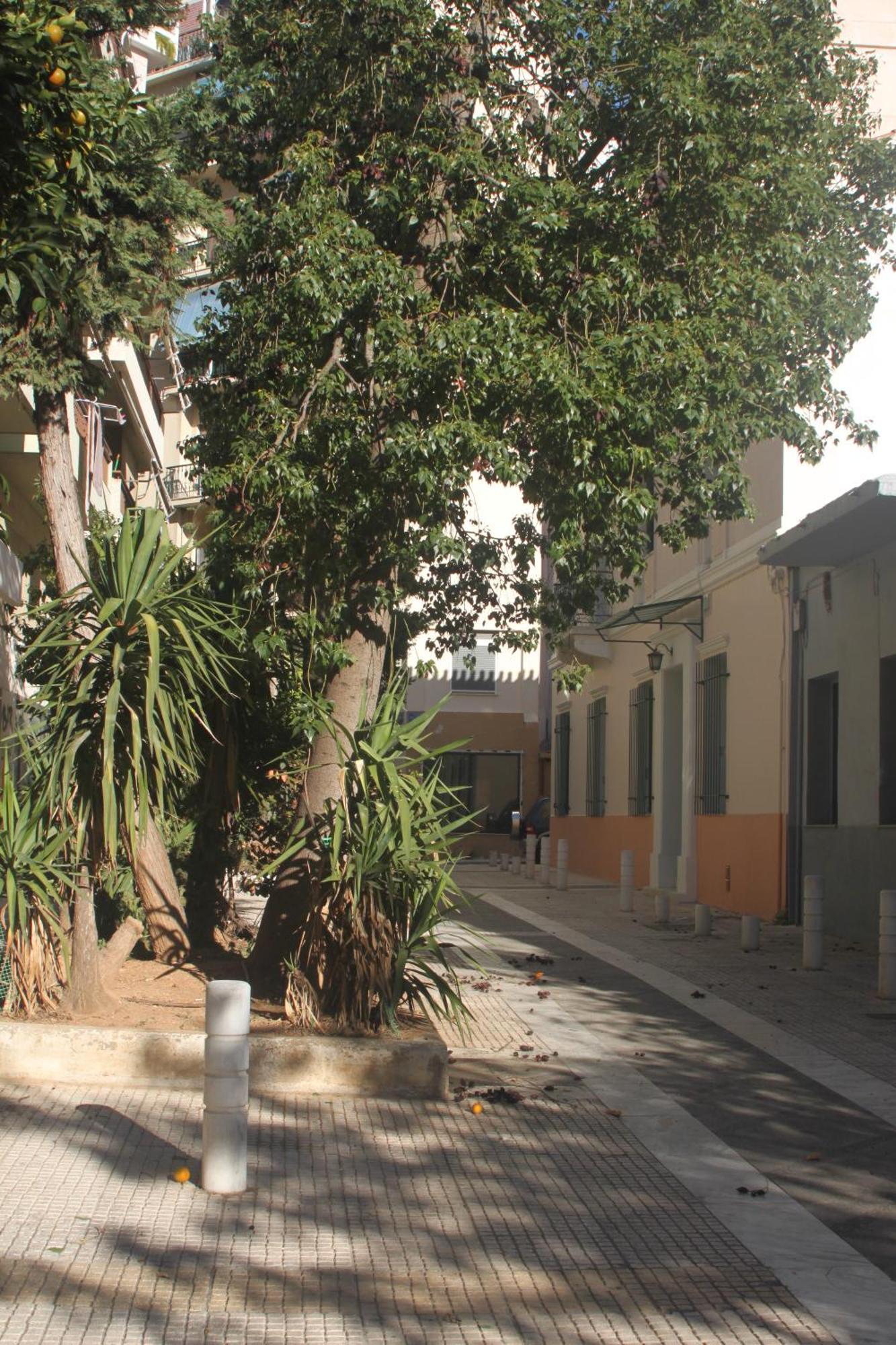 "Under The Olive Tree"- Beautiful Apartment In The Heart Of Athènes Extérieur photo