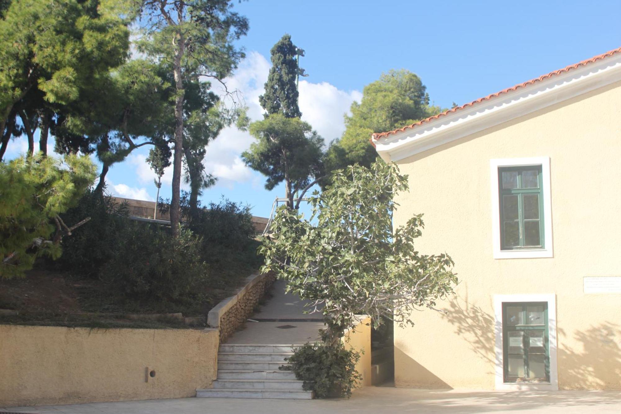 "Under The Olive Tree"- Beautiful Apartment In The Heart Of Athènes Extérieur photo